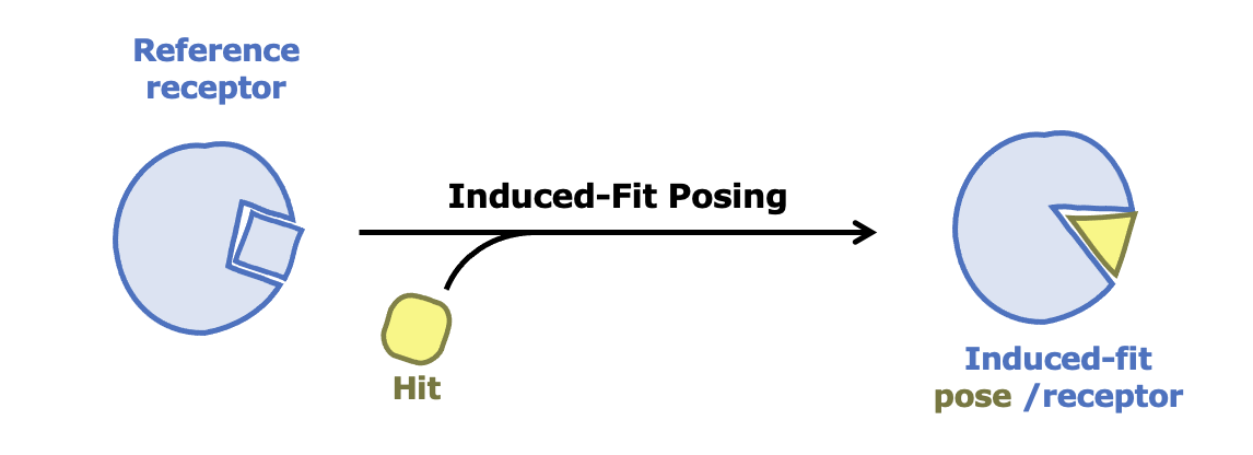 IFP_schematic_img